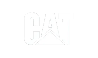 cat.png